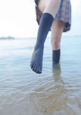 さようなら花泥棒さん歌词